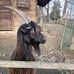 Michele Gerosa - Facebook