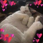 Michele Good - @michele.good - Instagram