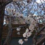 Michele Good - @michele.good.50 - Instagram