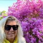 Michele Gorham - Facebook