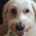 Michele Granger - Facebook