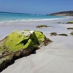 Michele Groves - @merrbags - Instagram