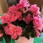Michele Gerack Groves - @michele_groves23 - Instagram