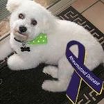 Michelle Groves - @qldgirl43 - Instagram