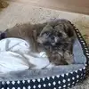 Michele Haas - @michele.haas8 - TikTok