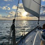Michele Hand - @m_hamster56 - Instagram