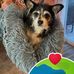 Michelle Hartman - Facebook