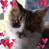 Michele Heath - @michele.heath8 - TikTok