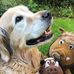 He Michi - Facebook