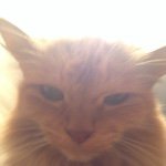 Michele Heim - @stepfreak1966 - Instagram