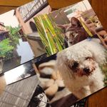 Michele Heim - @365micheleheim - Instagram