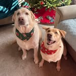 Michele Hendricks Houser - @ma_houser - Instagram