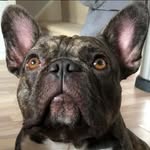 Michele Hilton - @hilton.michele - Instagram