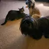 michelehinkle901 - @michelehinkle901 - TikTok
