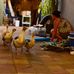 Michele Horner - Facebook