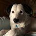 Michele Huntley - Facebook