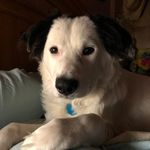 Michele Huntley - @cafezin2013 - Instagram
