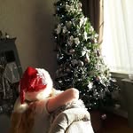 Michele Ireland - @krystallesmummy - Instagram