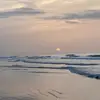 Michelle Ivan - @michelle.ivan - TikTok