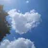 Michele Jesse - @michele.jesse - TikTok