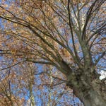 Michele Kapp Reibel - @kappreibel - Instagram