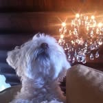 Michele Kappos - @michelekappos - Instagram