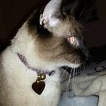 Michele Keith - @michele.keith.1428 - Instagram