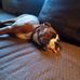 Michelle Keith - Facebook