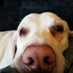 Michele Keller - @michelekeller74 - Instagram
