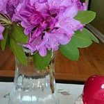 Michele Kellner - @micky0268 - Instagram