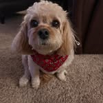 Michelle Fargus Kellner - @makellne - Instagram