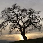 Michele Kerry - @michele.kerry.9 - Instagram