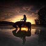 Michele Key - @barrelhorsegrl - Instagram