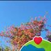 Michelle Key - Facebook