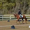 Michele Killian - @michelekillian - TikTok