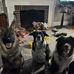 Michelle Killian - Facebook