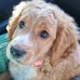 Michelle Kinder - Facebook
