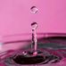 Michele Land - Facebook
