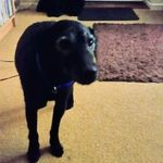 Michele Langley - @michelelangley48 - Instagram