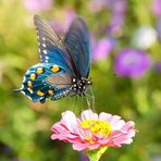 Michelle Langley - Facebook