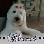 Michele Lanham Todd - @mtodd62622018 - Instagram
