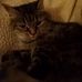 Michelle Lanham - Facebook