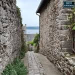 Michele Lapointe - @m.lap1849 - Instagram