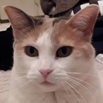 Michèle Leduc - @micheleleduc51 - Instagram