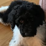 Michelle LeDuc-Dodsworth - @mmdodsworth - Instagram