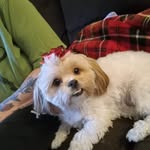 Michele Lepine - @nahzprivott - Instagram