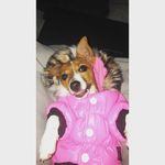 Michele Linn - @michele.linn.587 - Instagram