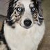 Michelle Lott - Facebook