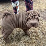 Michele Lund - @michele.lund.142 - Instagram