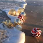 Michele Lutz - Facebook